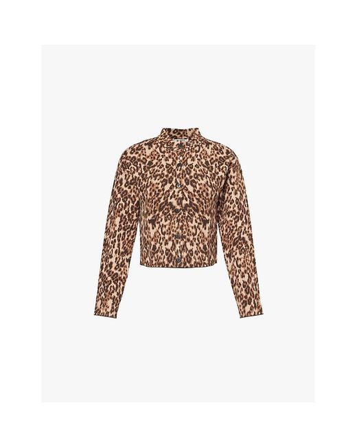 4th & Reckless Brown Drew Leopard-Print Knitted Cardigan