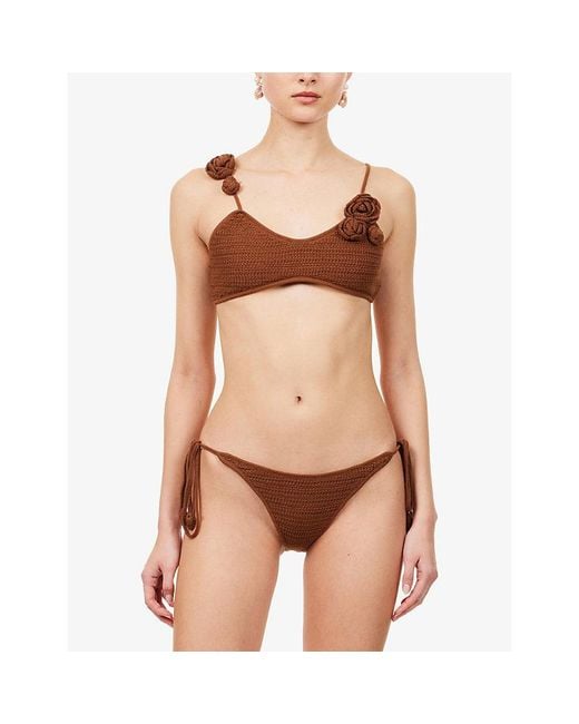 Devon Windsor Brown Ammie Crochet Knit Bikini Bottoms