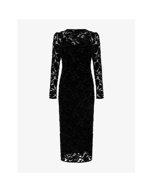 Phase Eight Women's Black Viktoria Lace Mesh Midi Dress Phase Eight Women's Black Viktoria Lace Mesh Midi Dress