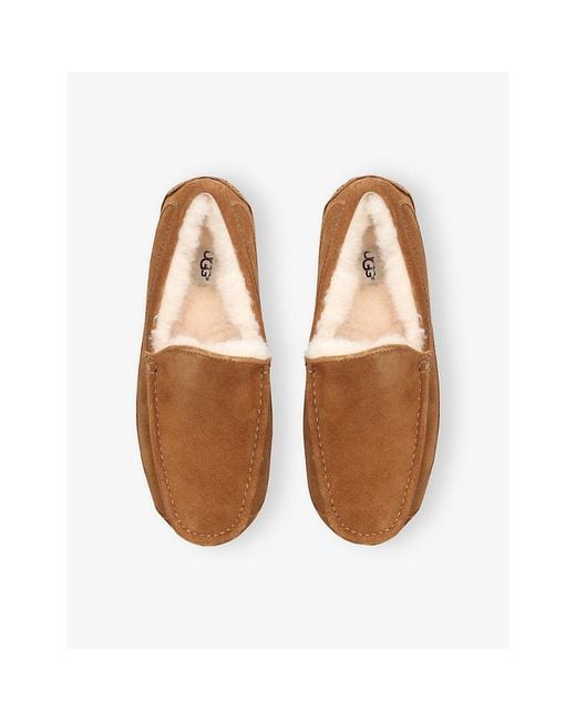 Ugg Brown Ascot Suede Loafers for men