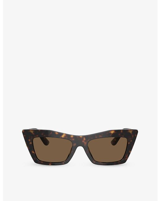 Dolce & Gabbana Brown Dg4435 Cat-eye Frame Acetate Sunglasses