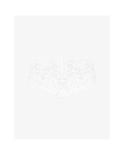 Hanro Purple Moments Stretch-Lace Maxi Briefs