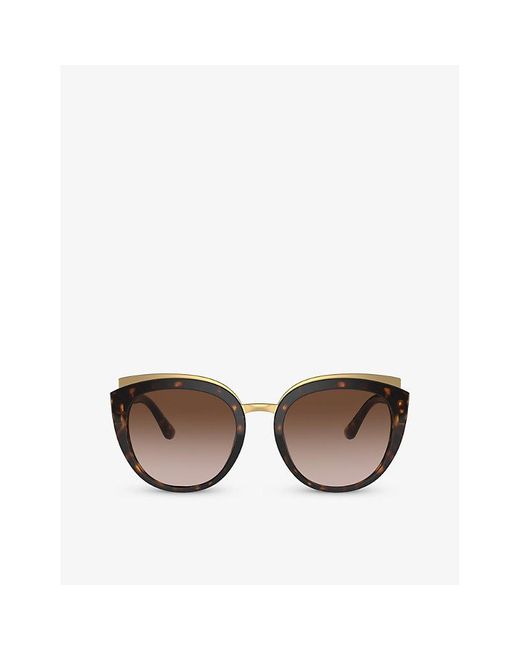 Dolce & Gabbana Brown Dg4383 Butterfly-frame Acetate Sunglasses