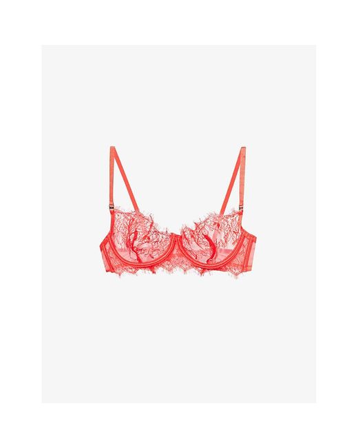 Bluebella Grace Floral-embroidered Lace Bra