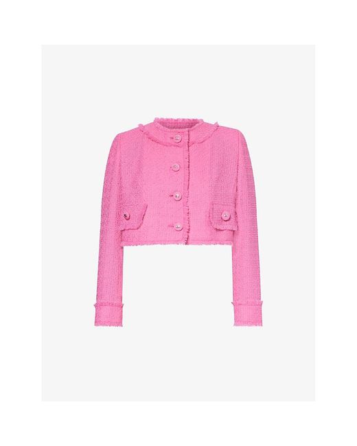 Dolce & Gabbana Pink Rachel Tweed Regular-fit Wool-blend Jacket