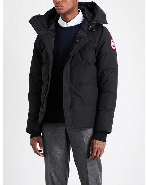 canada goose gilt canada goose gilt