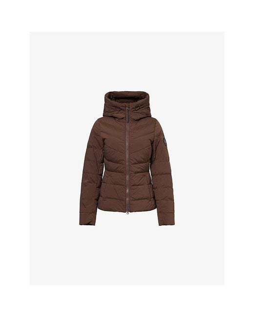 Canada Goose Brown Terra