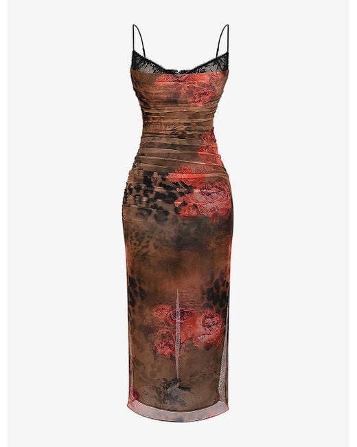 House Of Cb Red Nalini Floral And Leopard-print Stretch-mesh Midi Dress