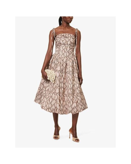 Amy Lynn Multicolor Alexa Snake-Print Cotton-Poplin Midi Dress