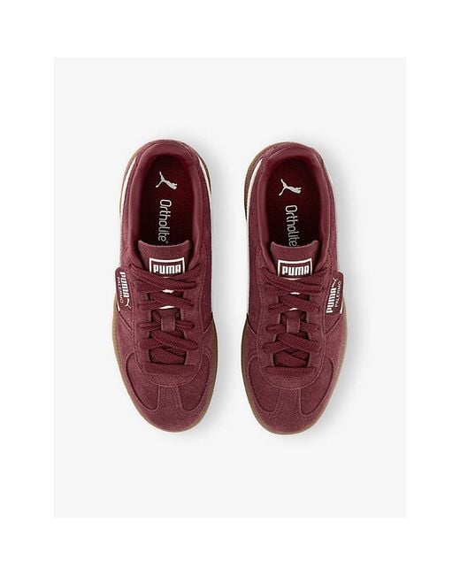 PUMA Multicolor Palermo Suede Trainers