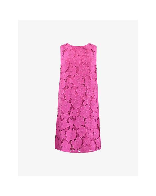 Ro&zo Pink Floral-lace Sleeveless Cotton-blend Mini Dress