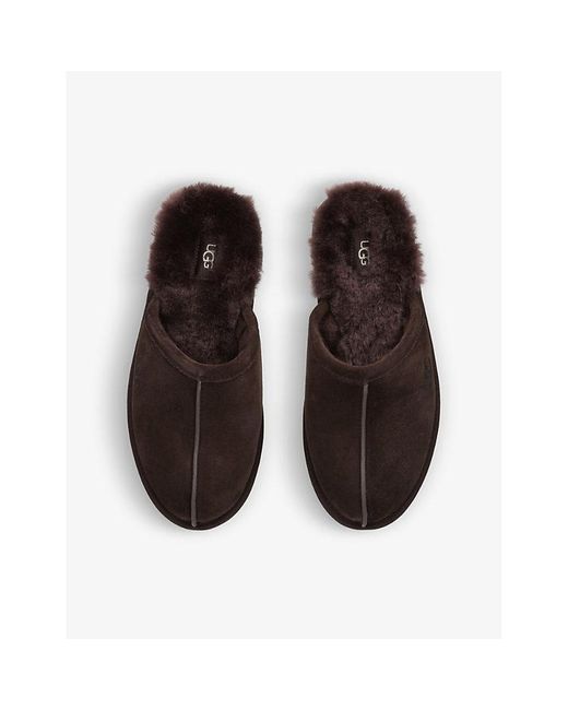 Ugg Brown Scuff Slippers for men