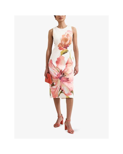 Phase Eight Pink Nadina Floral Cotton-Blend Midi Dress