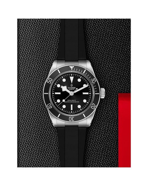 Tudor Black Bay Stainless-Steel Automatic Watch 41Mm for men