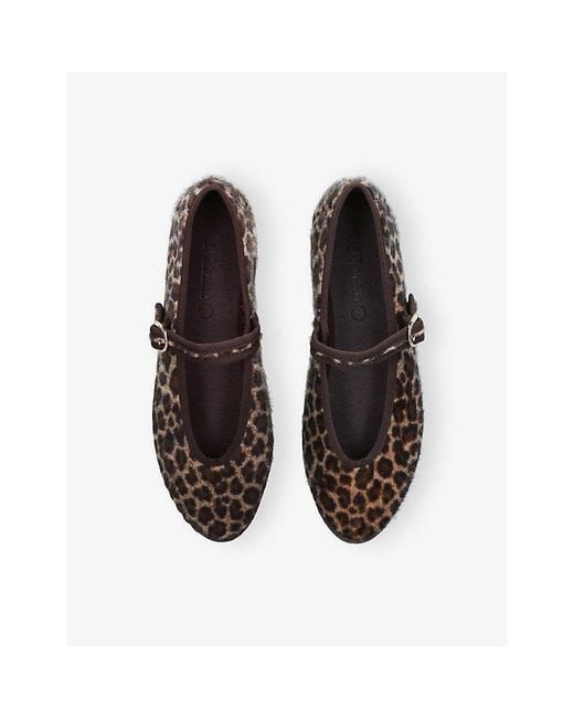 Flabelus Brown Pierre Cheetah Velvet Mary-Jane Flats