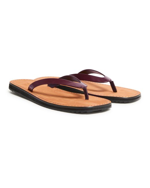 The Row Brown City Leather Thong Sandals