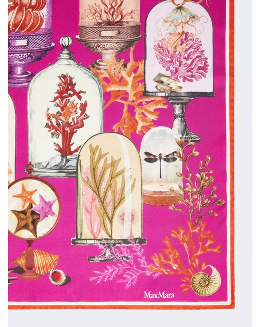 Max Mara Pink Le Cabinet Printed Scarf