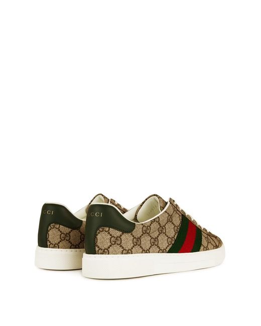 Gucci Brown Logo Sneakers for men