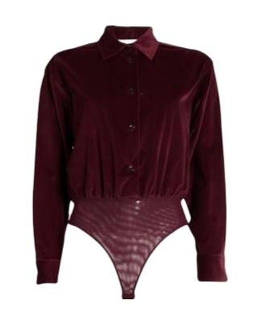 Max Mara Purple Velvet Collared Long-Sleeve Bodysuit Shirt