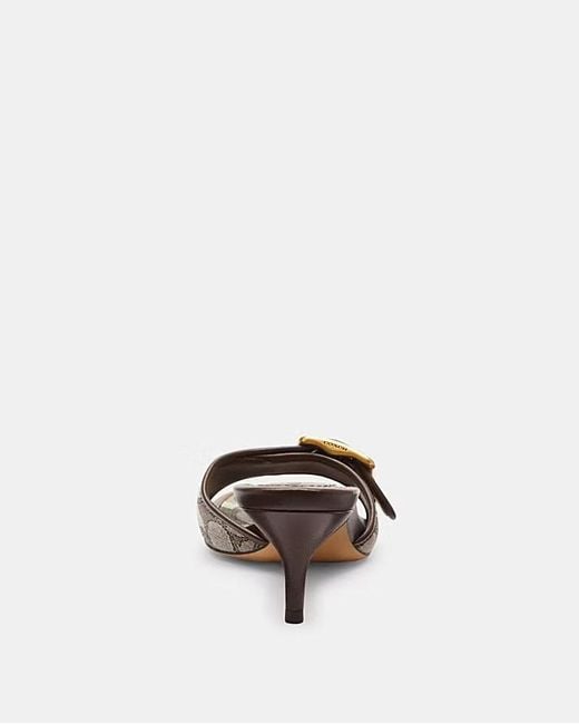COACH Brown 55Mm Margot Buckle Heeled Sandals