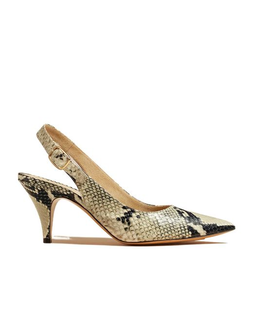 Khaite Metallic River Python Printed Pumps