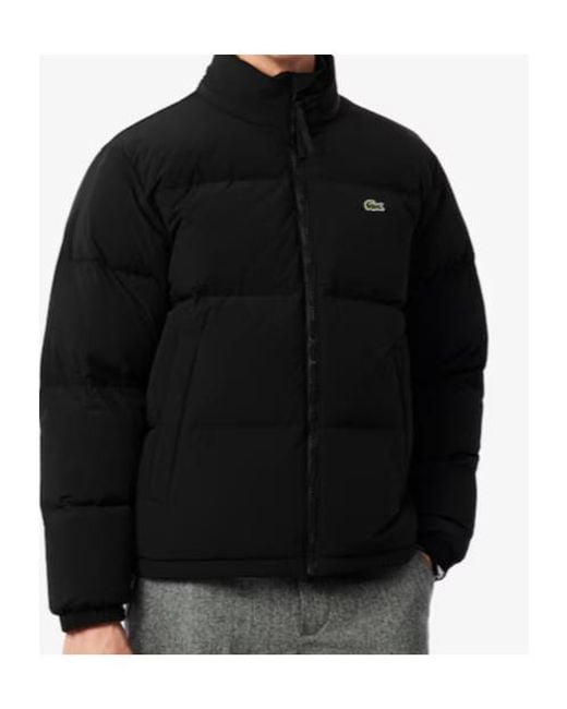 Lacoste Black Quilted Padded Jacket for men