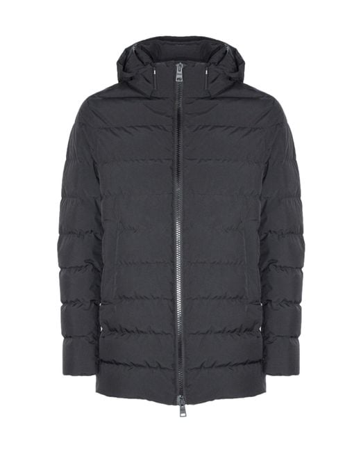 Herno Blue Hooded Padded Coat for men