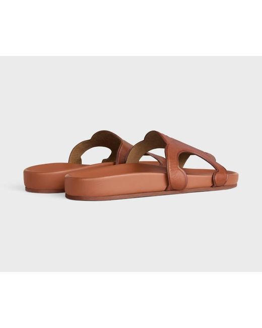 Céline Brown Triomphe Slide