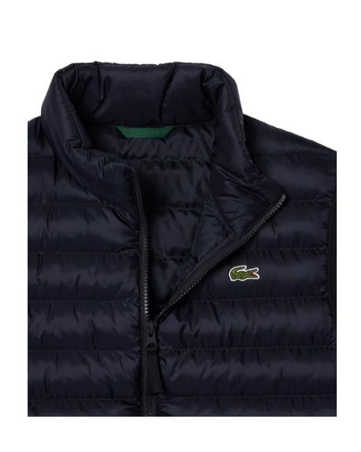 Lacoste Blue Stand-Neck Vest for men