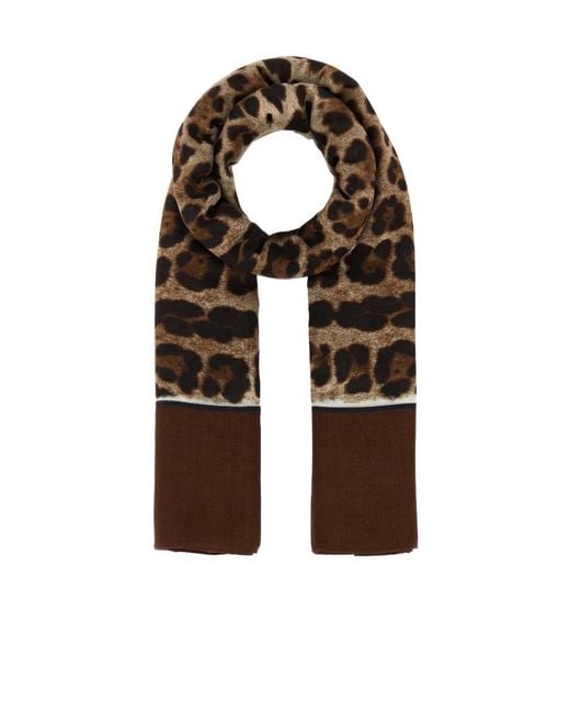Dolce & Gabbana Multicolor Leopard-Print Frayed Edge Scarf