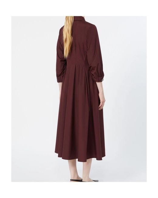 Max Mara Purple Cotton Poplin Shirt Dress