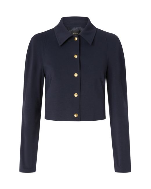 Pinko Blue Button-Fastening Cropped Jacket