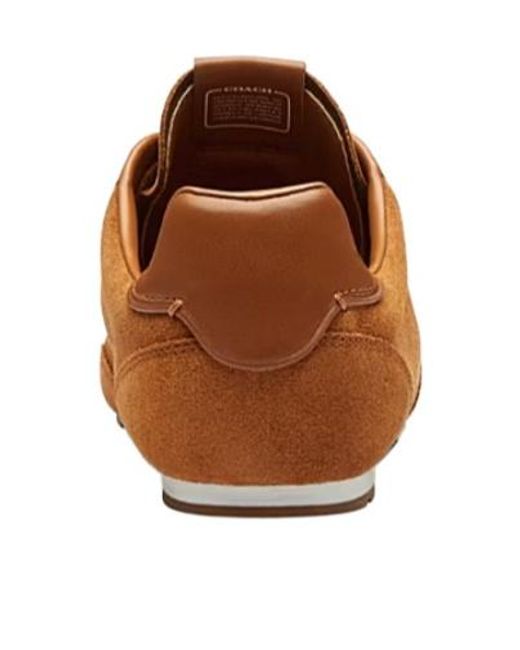 COACH Brown Lace-Up Suede Sneakers