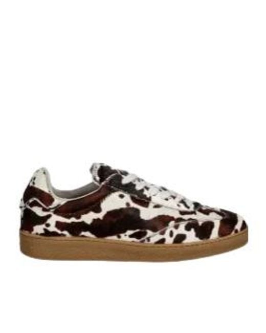 AllSaints Brown Thelma Sneakers
