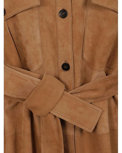 Antonelli Brown Camilla Shirt
