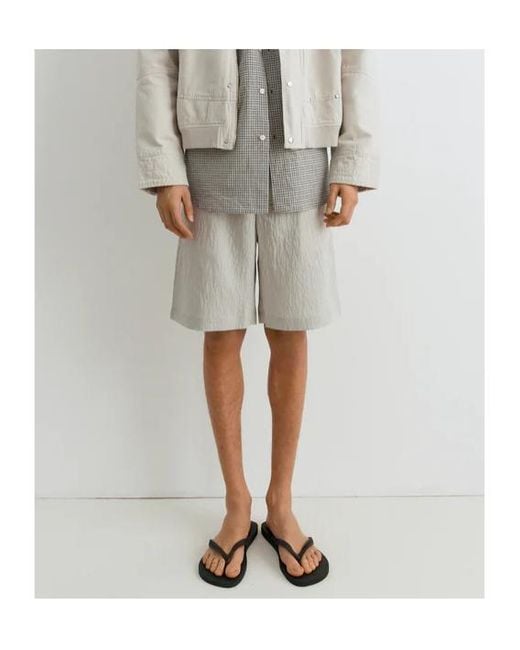 GIMAGUAS Gray Nicolas Pinstripe Shorts for men