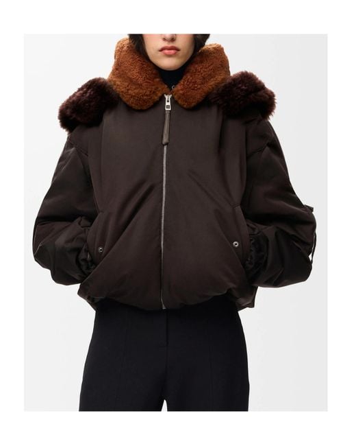 Loewe Brown Bomber Jacket