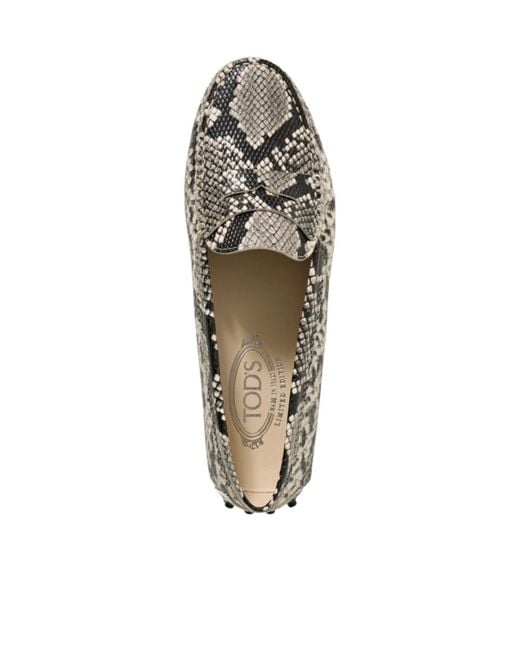 Tod's Multicolor Round Head Loafer Shoes