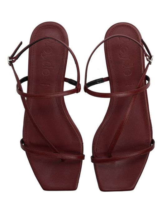 Aeyde Brown Square-Toe Flat Sandals