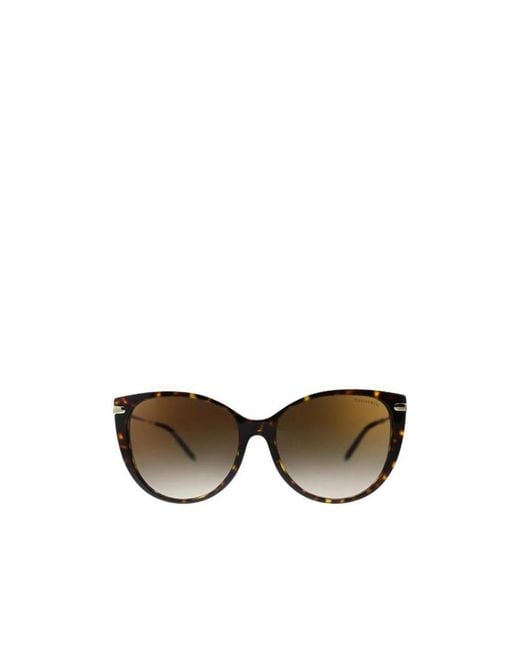 Tiffany & Co Multicolor Cat's Eye Sunglasses