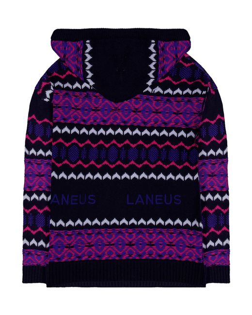 Laneus Purple Hooded Sweater for men