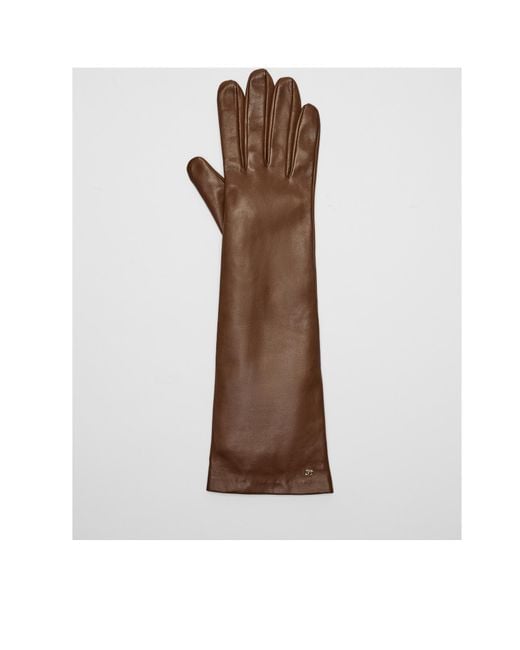 Max Mara White Logo Plaque Gloves