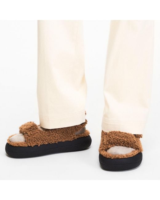 Moon Boot Brown Wool Logo Sandals
