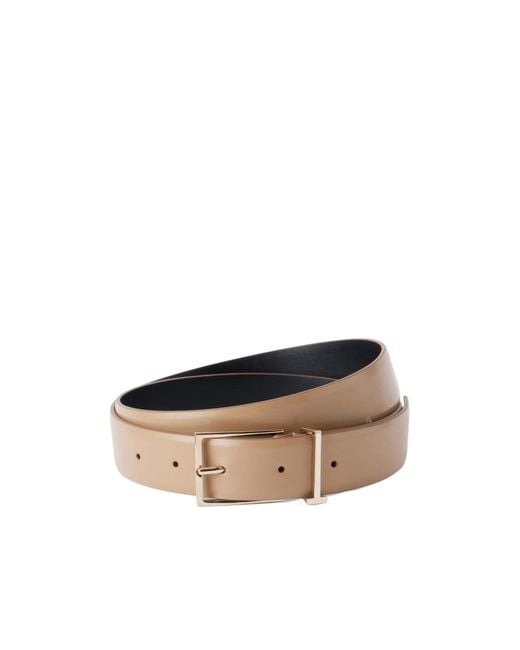 Tom Ford Multicolor Solid Color Classic Belt