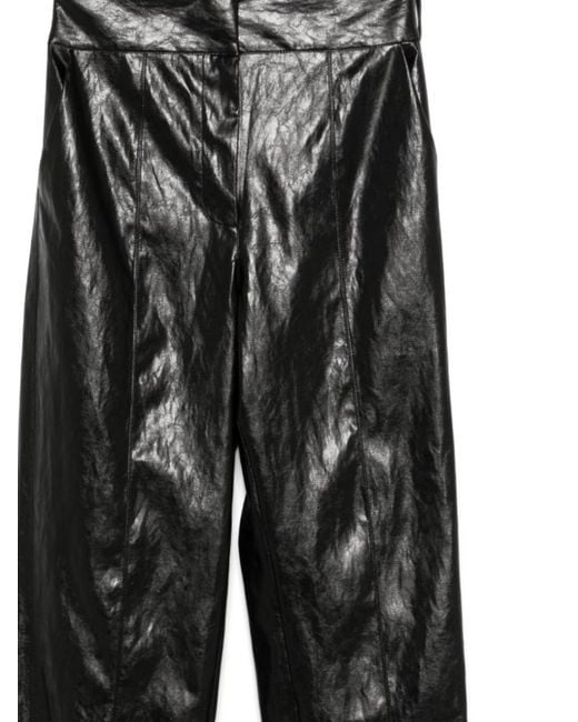 FEDERICA TOSI Black Tapered Trousers