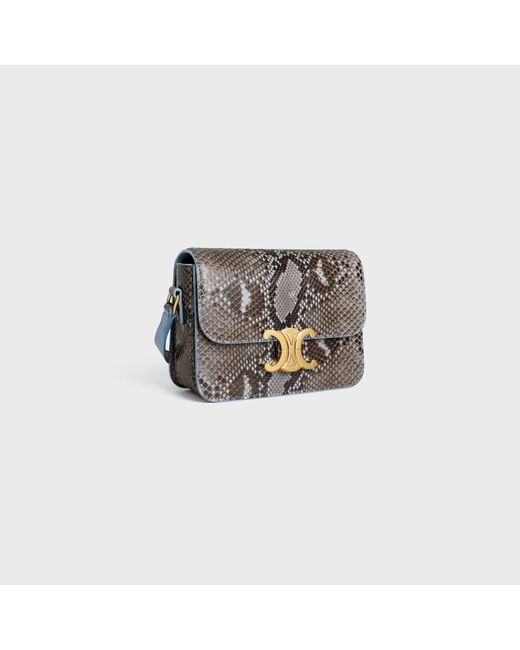 Céline Gray Teen Triomphe Bag