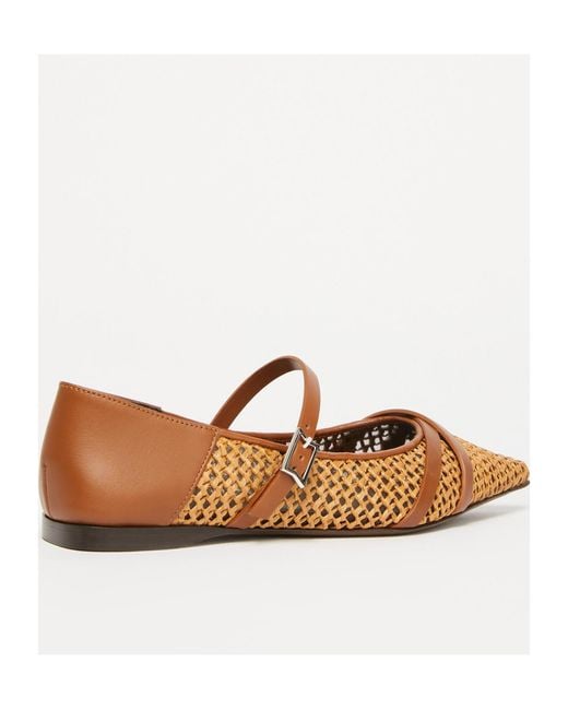 Max Mara Brown Buckle Detailed Pointed Toe Flat Shoes