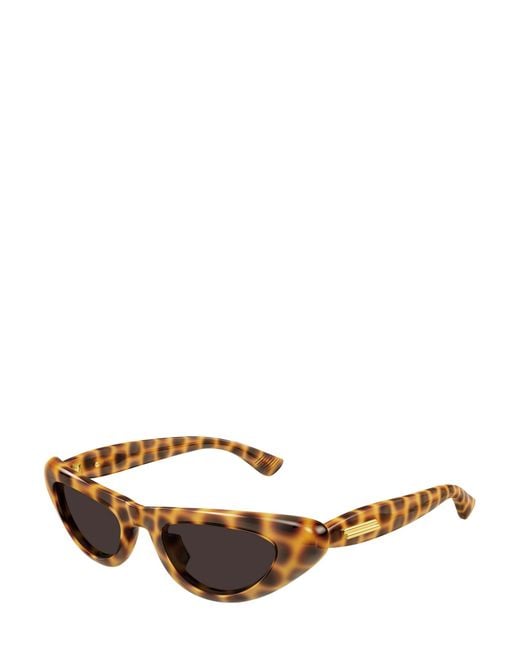 Bottega Veneta Multicolor Eyewear Cat Eye Frame Sunglasses