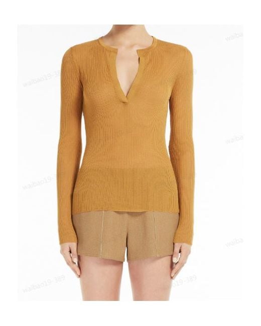 Max Mara Multicolor Saggina V-Neck Long-Sleeved Jumper