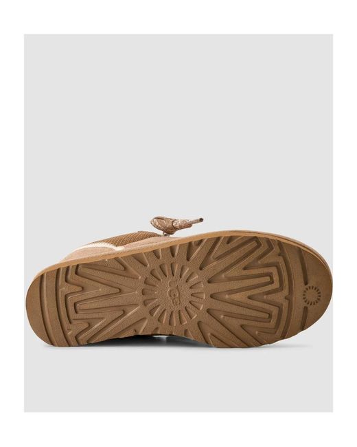 Ugg Brown Lowmel Shearling Low-Top Sneakers